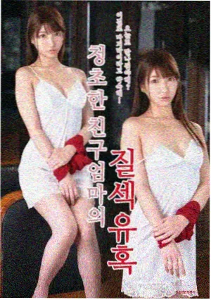 韩剧电视剧《首尔夜行律师》海报