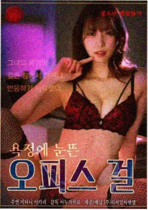 经典韩剧电视剧《孤岛信号》海报
